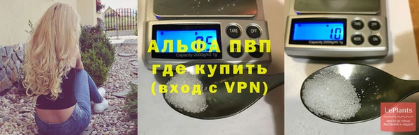 Альфа ПВП Белокуриха