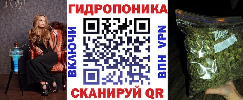 Бошки марихуана OG Kush Печора